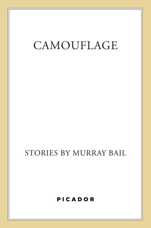 Cover image for book Camouflage