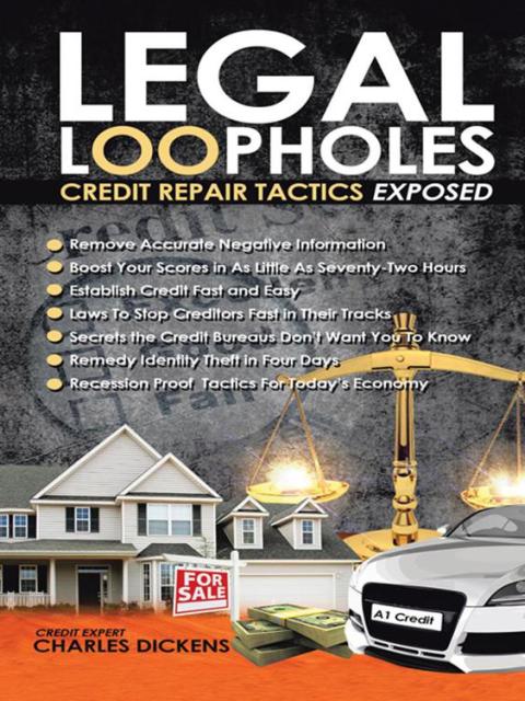 Cover image for book Legal Loopholes