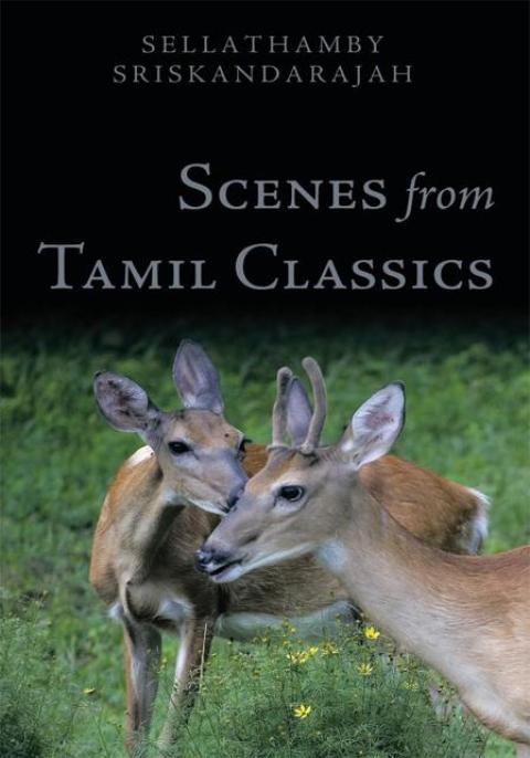 Cover image for book Scenes from Tamil Classics