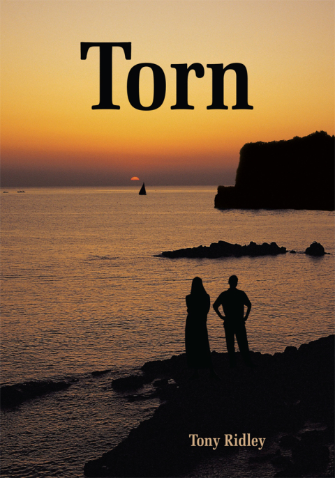Cover image for book Torn