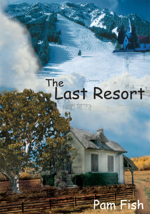 Cover image for book The Last Resort