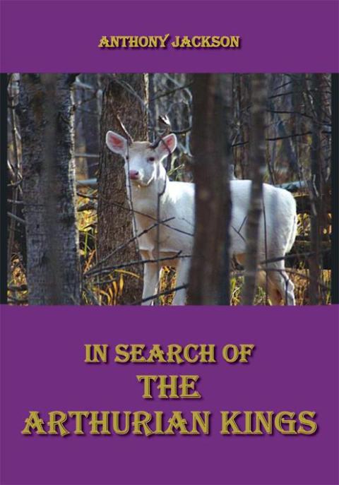 Cover image for book In Search of the Arthurian Kings