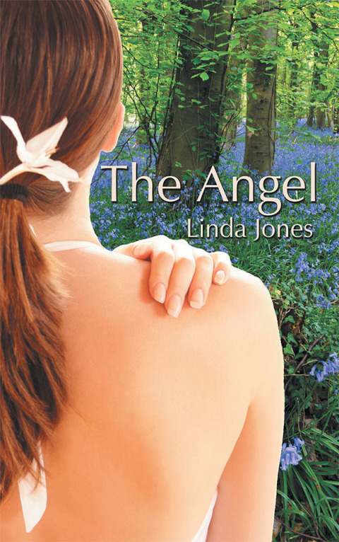 Cover image for book The Angel
