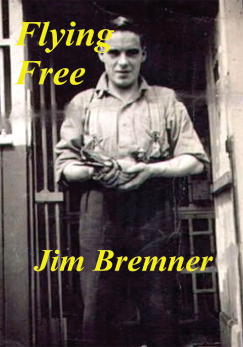Cover image for book Flying Free