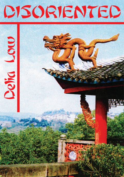 Cover image for book Disoriented