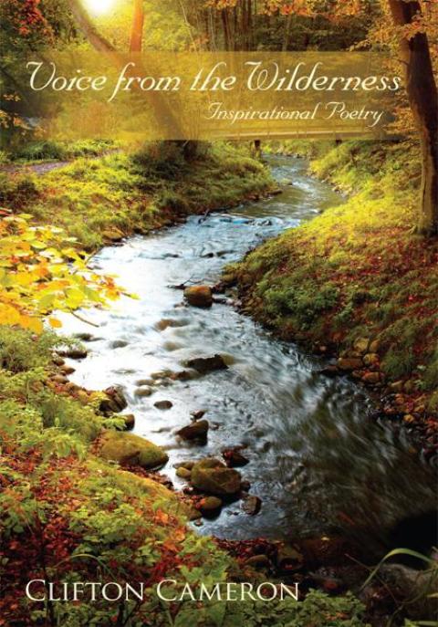 Cover image for book Voice from the Wilderness