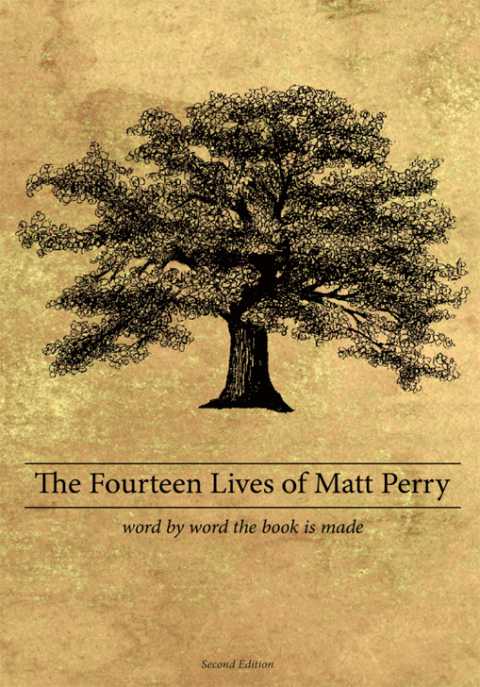 Cover image for book The Fourteen Lives of Matt Perry