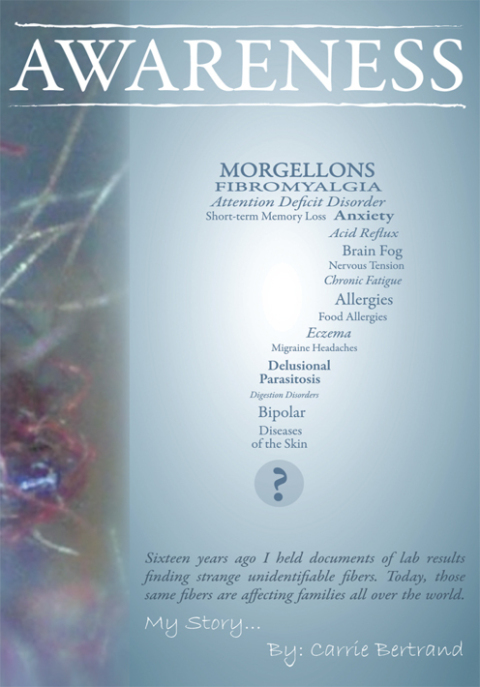 Cover image for book Awareness