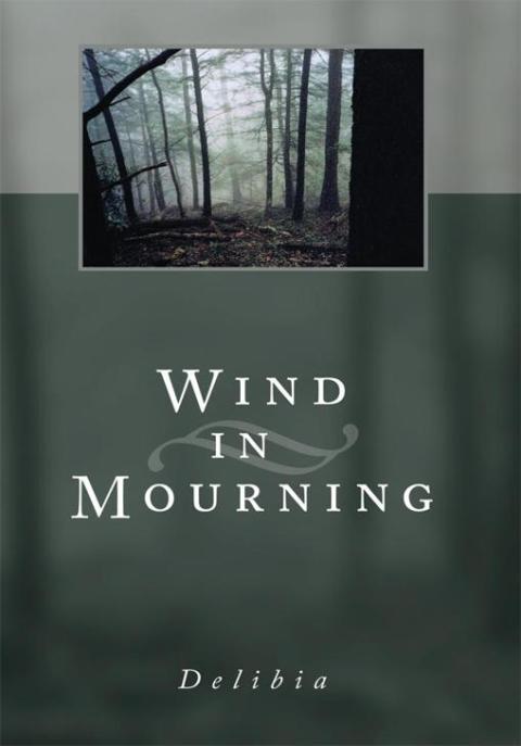 Cover image for book Wind in Mourning