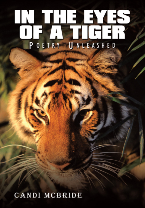 Cover image for book In the Eyes of a Tiger