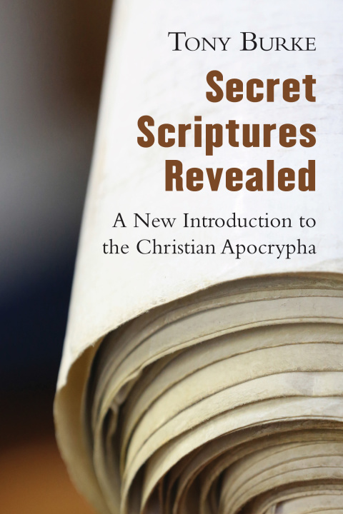 Cover image for book Secret Scriptures Revealed