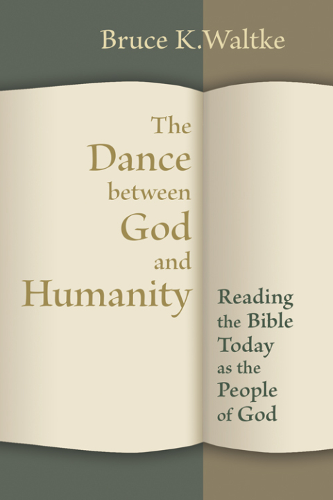 Cover image for book The Dance Between God and Humanity