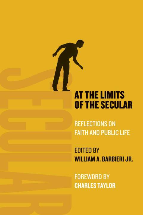 Cover image for book At the Limits of the Secular