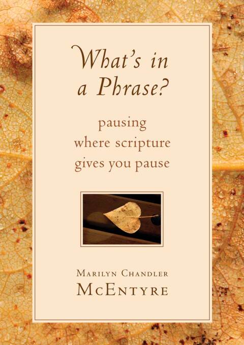 Cover image for book What's in a Phrase?