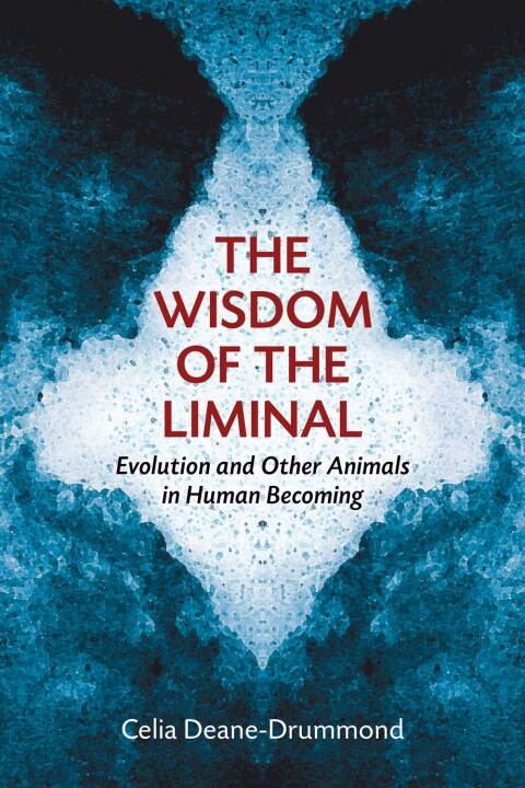 Cover image for book The Wisdom of the Liminal