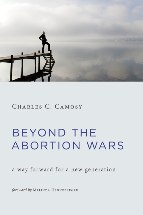 Cover image for book Beyond the Abortion Wars