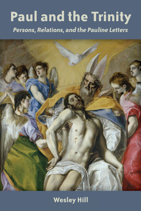 Cover image for book Paul and the Trinity