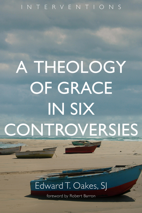 Cover image for book A Theology of Grace in Six Controversies