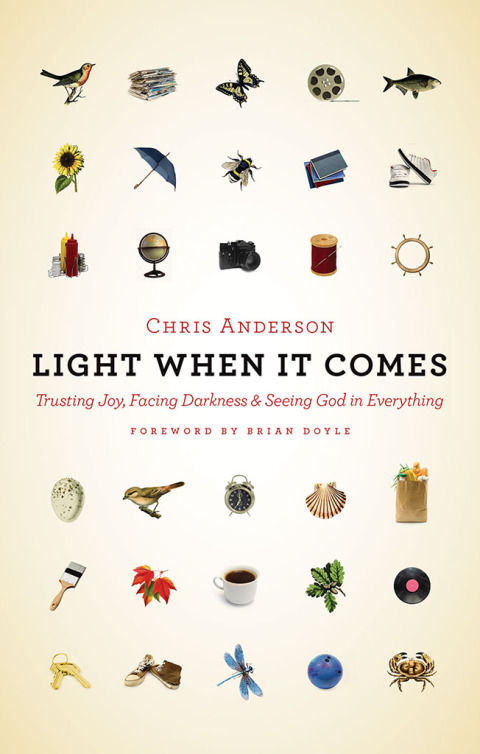Cover image for book Light When It Comes