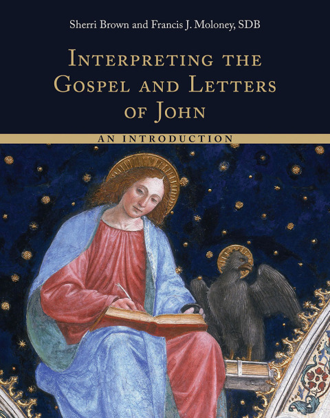 Cover image for book Interpreting the Gospel and Letters of John