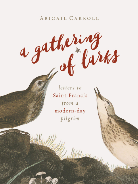 Cover image for book A Gathering of Larks