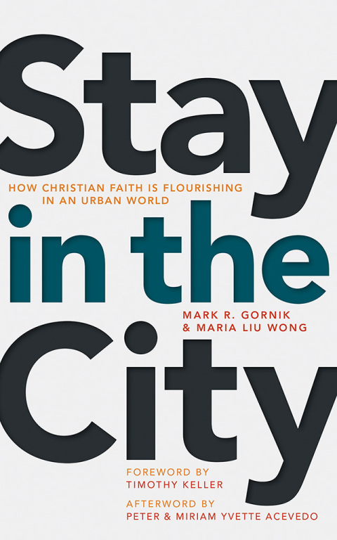 Cover image for book Stay in the City