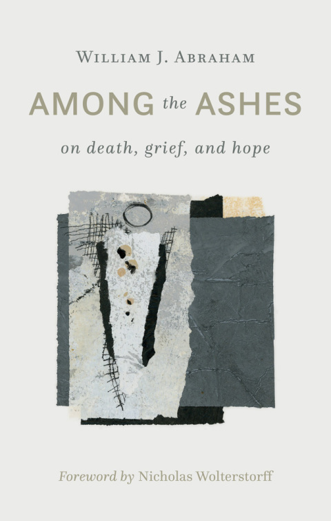 Cover image for book Among the Ashes