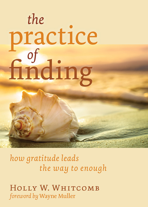 Cover image for book The Practice of Finding