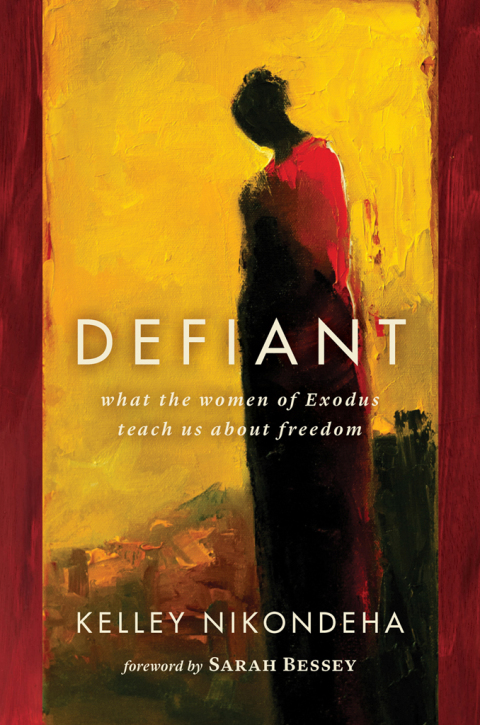Cover image for book Defiant