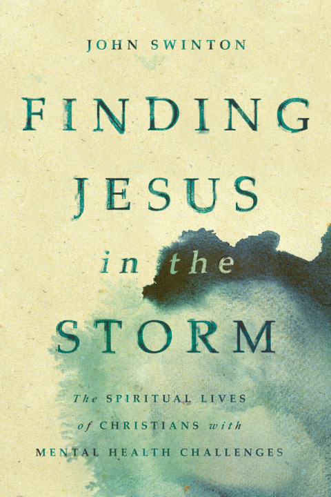 Cover image for book Finding Jesus in the Storm