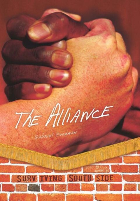 Cover image for book The Alliance