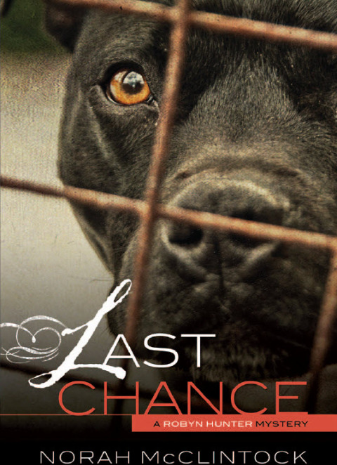 Cover image for book Last Chance