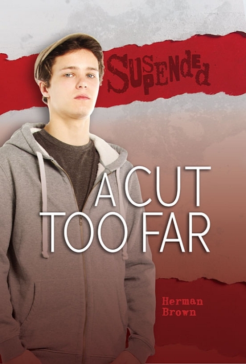 Cover image for book A Cut Too Far