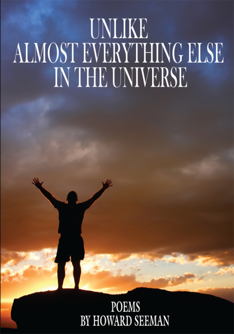 Cover image for book Unlike Almost Everything Else in the Universe