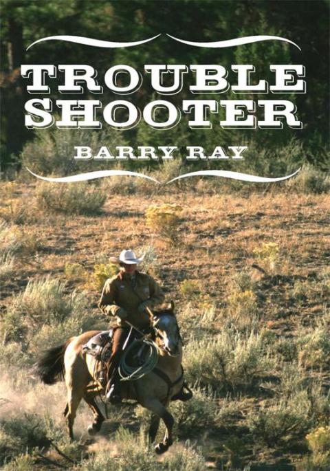 Cover image for book Troubleshooter