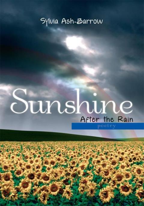 Cover image for book Sunshine After the Rain