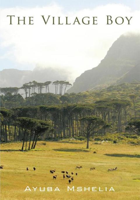 Cover image for book The Village Boy
