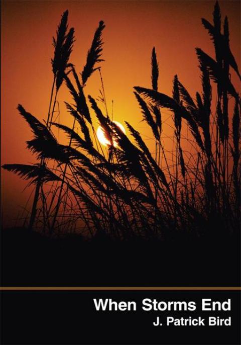 Cover image for book When Storms End