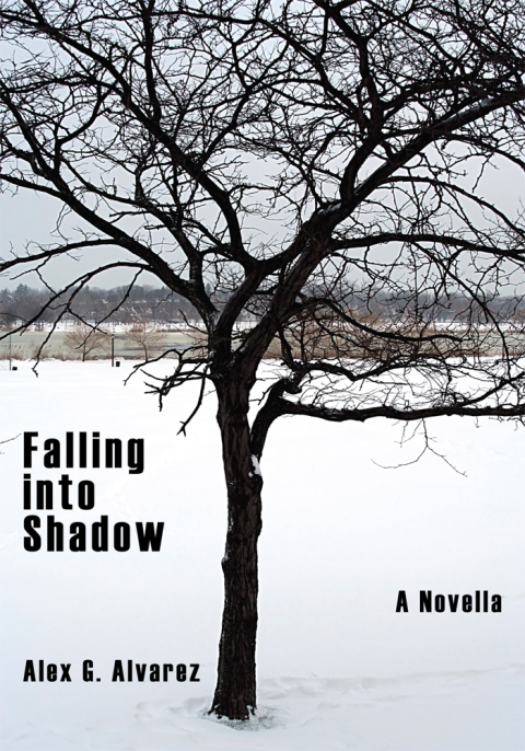 Cover image for book Falling into Shadow