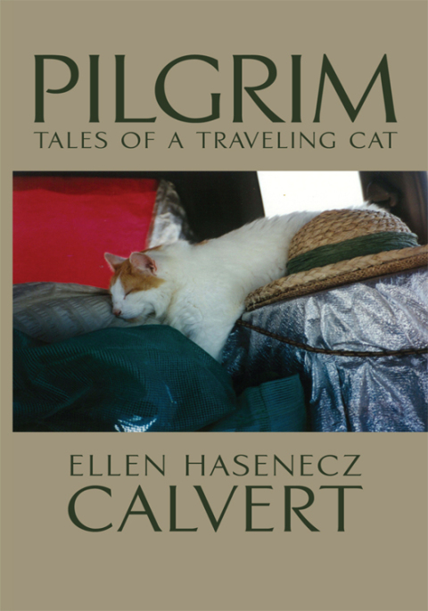 Cover image for book Pilgrim