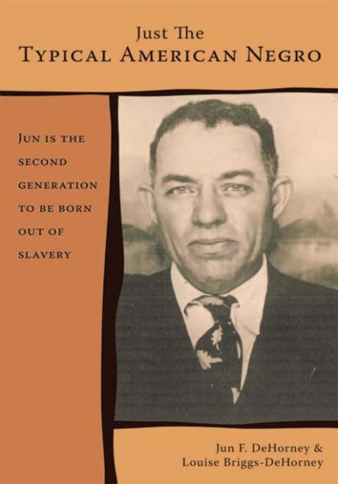Cover image for book Just the Typical American Negro