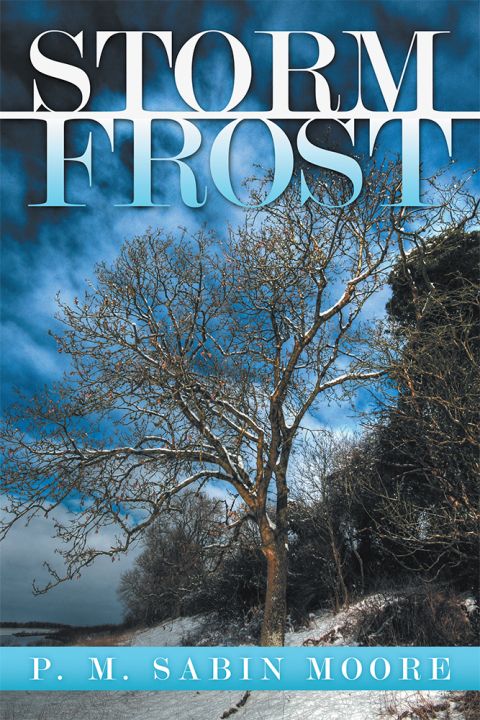Cover image for book Storm Frost