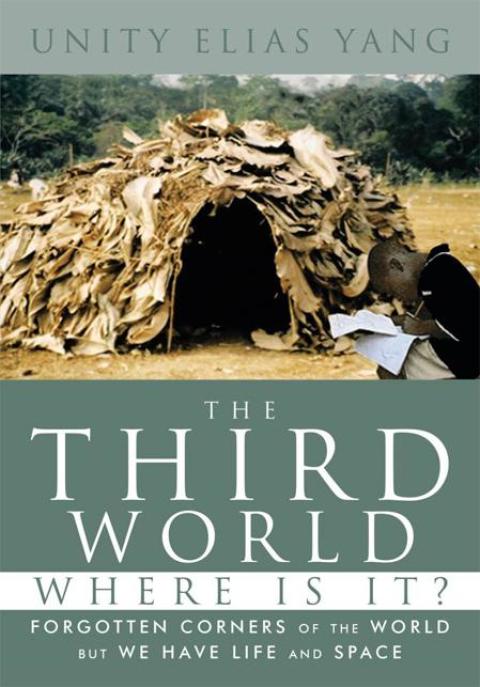 Cover image for book The Third World Where Is It?