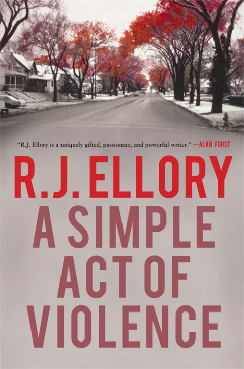 Cover image for book A Simple Act of Violence