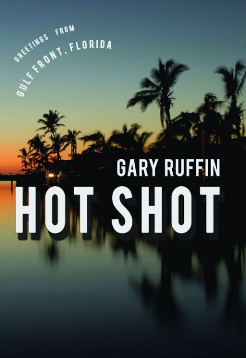 Cover image for book Hot Shot