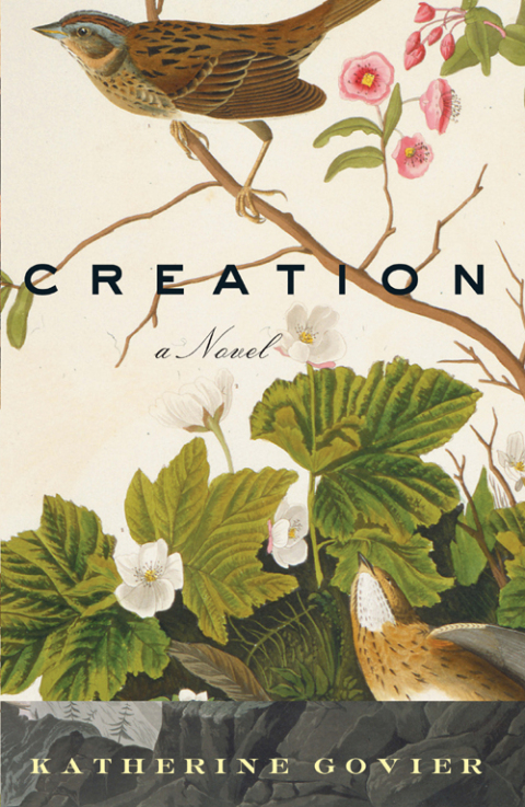 Cover image for book Creation