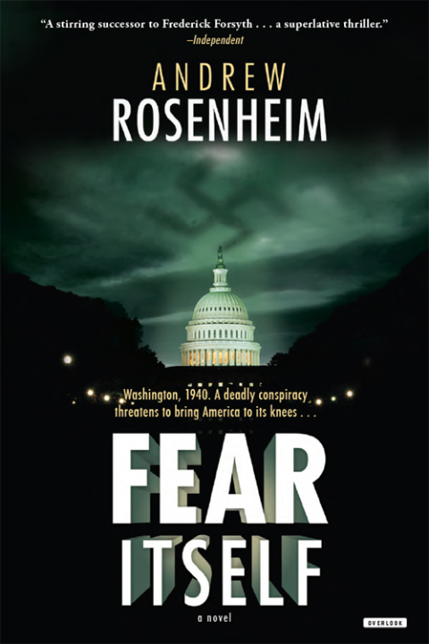 Cover image for book Fear Itself