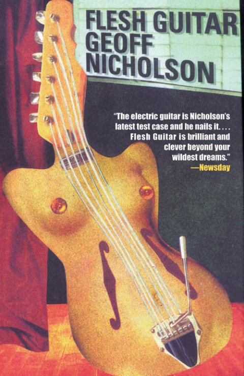 Cover image for book Flesh Guitar