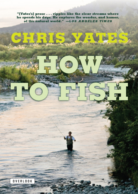 Cover image for book How To Fish