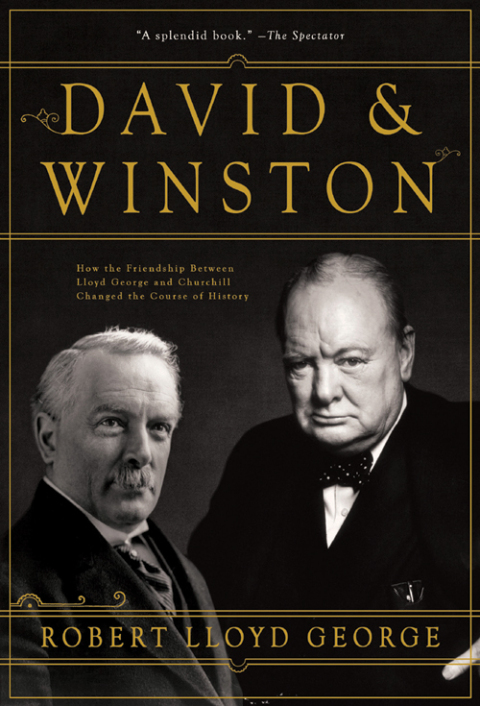 Cover image for book David & Winston